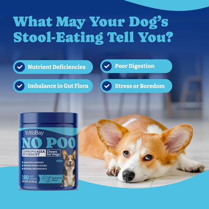 犬用ノープーチュー - ソフトチュー180個、ダック＆洋梨風味