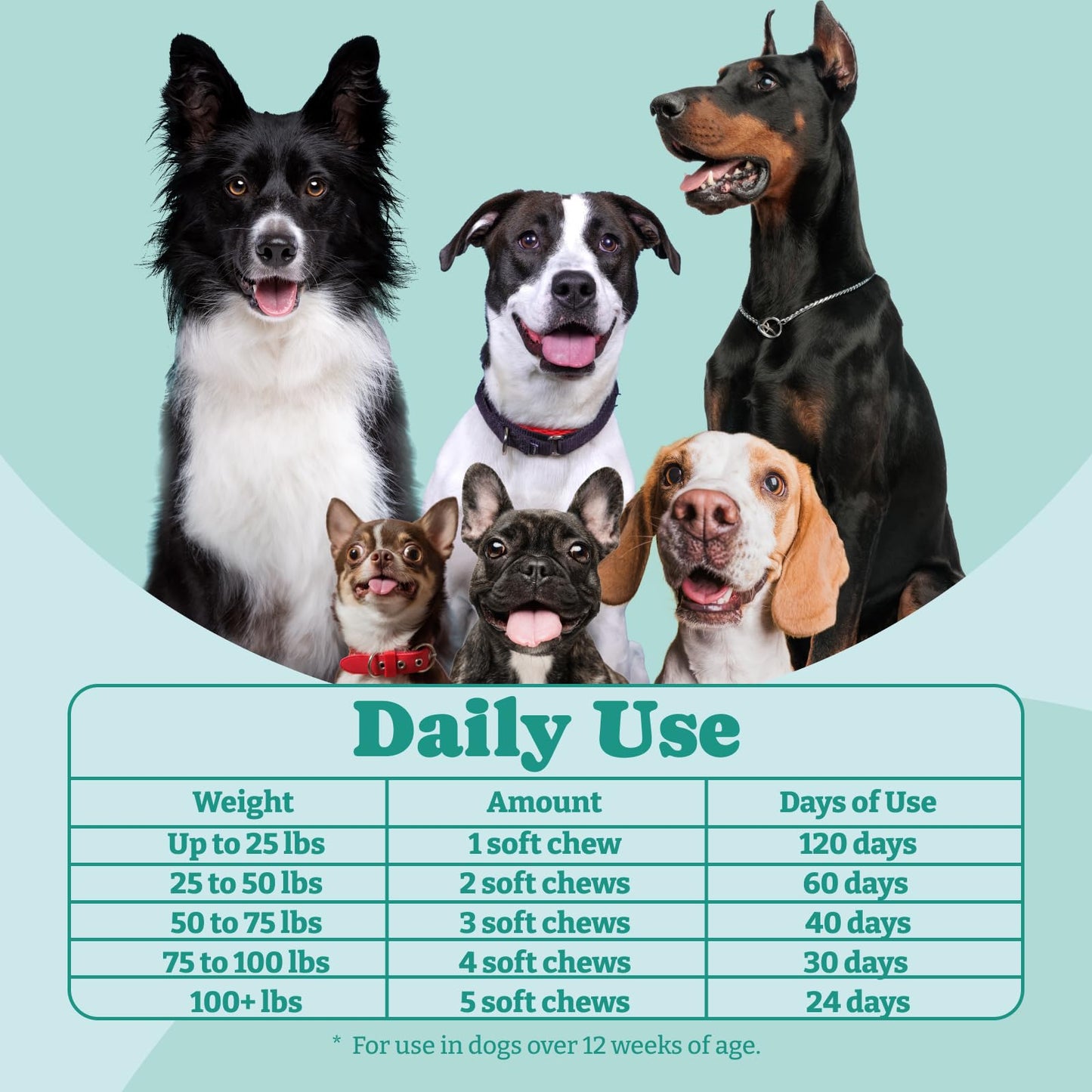 犬用プロバイオティクス、チキン風味、ソフトチュー120粒