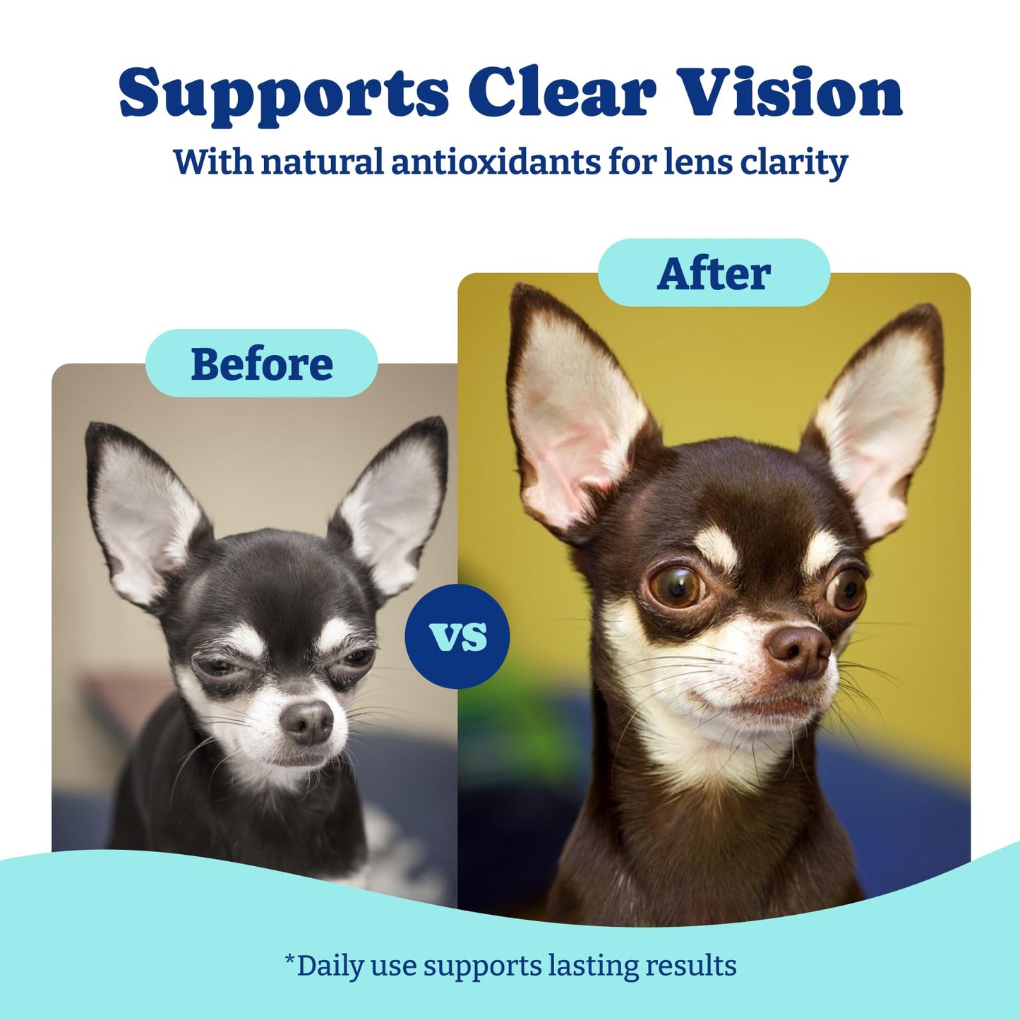 犬用アイサプリメント - ソフトチュアブル120粒、犬用アイビタミン - ダック＆洋ナシ風味