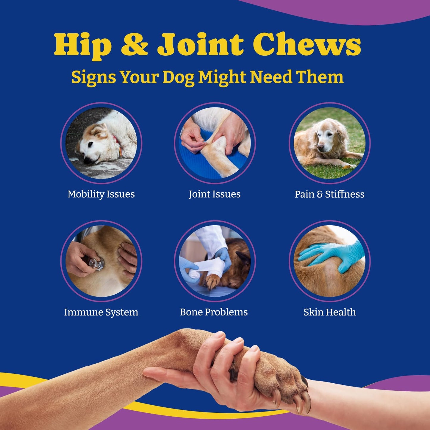 犬用股関節・関節サプリメント、ソフトチュー180粒、ダック＆洋ナシ風味