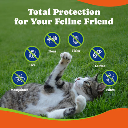 猫用ノミ・ダニ予防 - 2種類のフレーバー、ソフトチュー200個