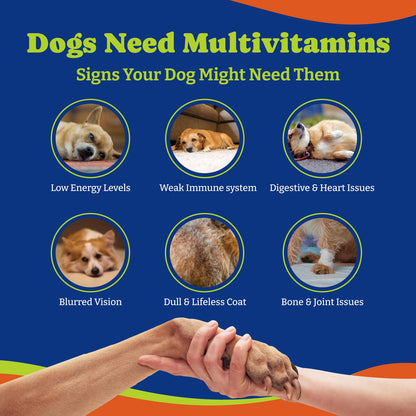 犬用ビタミン＆サプリメント - ソフトチュー180粒、ダック＆洋ナシ風味