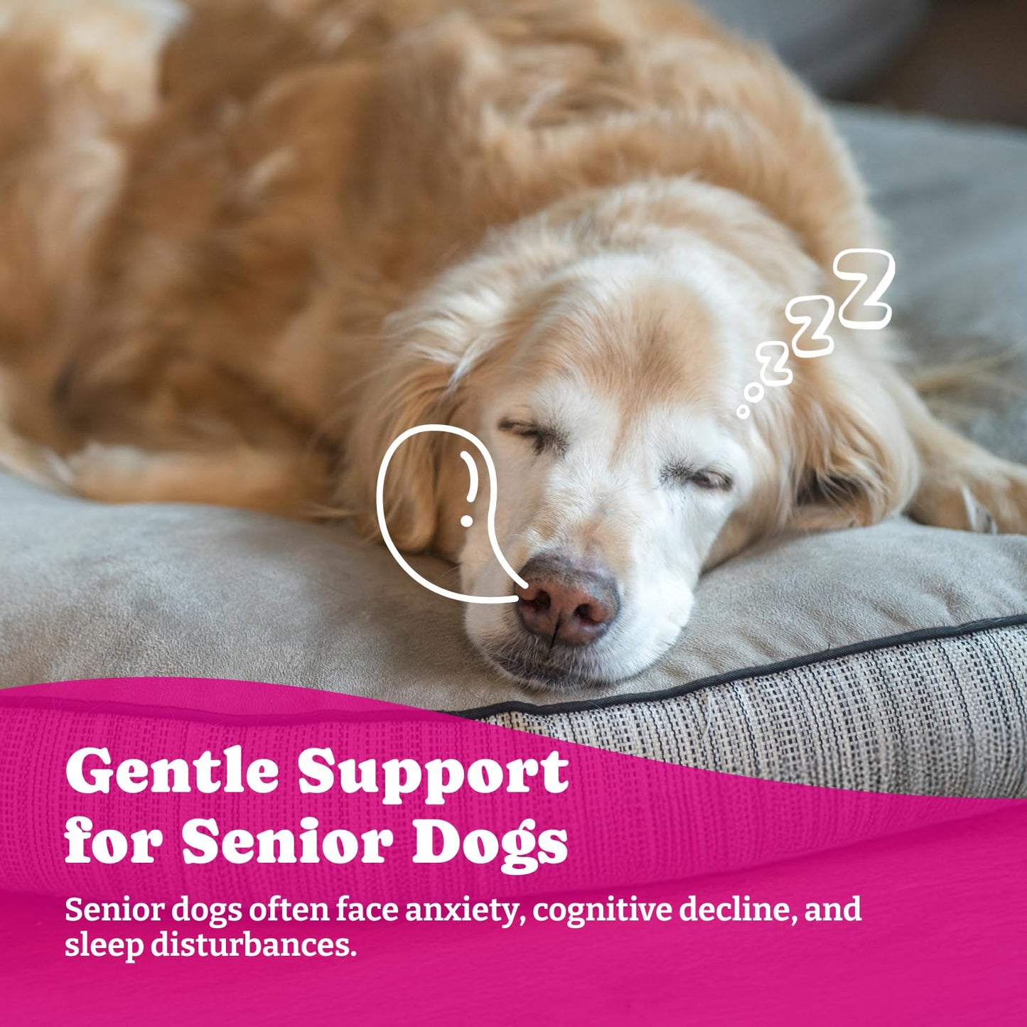 犬用アドバンスドメラトニン - 小型犬・大型犬用メラトニン鎮静チュー180粒 - 天然ハーブ配合 犬用睡眠補助剤