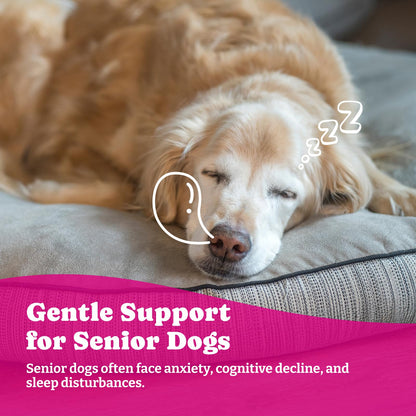 犬用アドバンスドメラトニン - 小型犬・大型犬用メラトニン鎮静チュー180粒 - 天然ハーブ配合 犬用睡眠補助剤