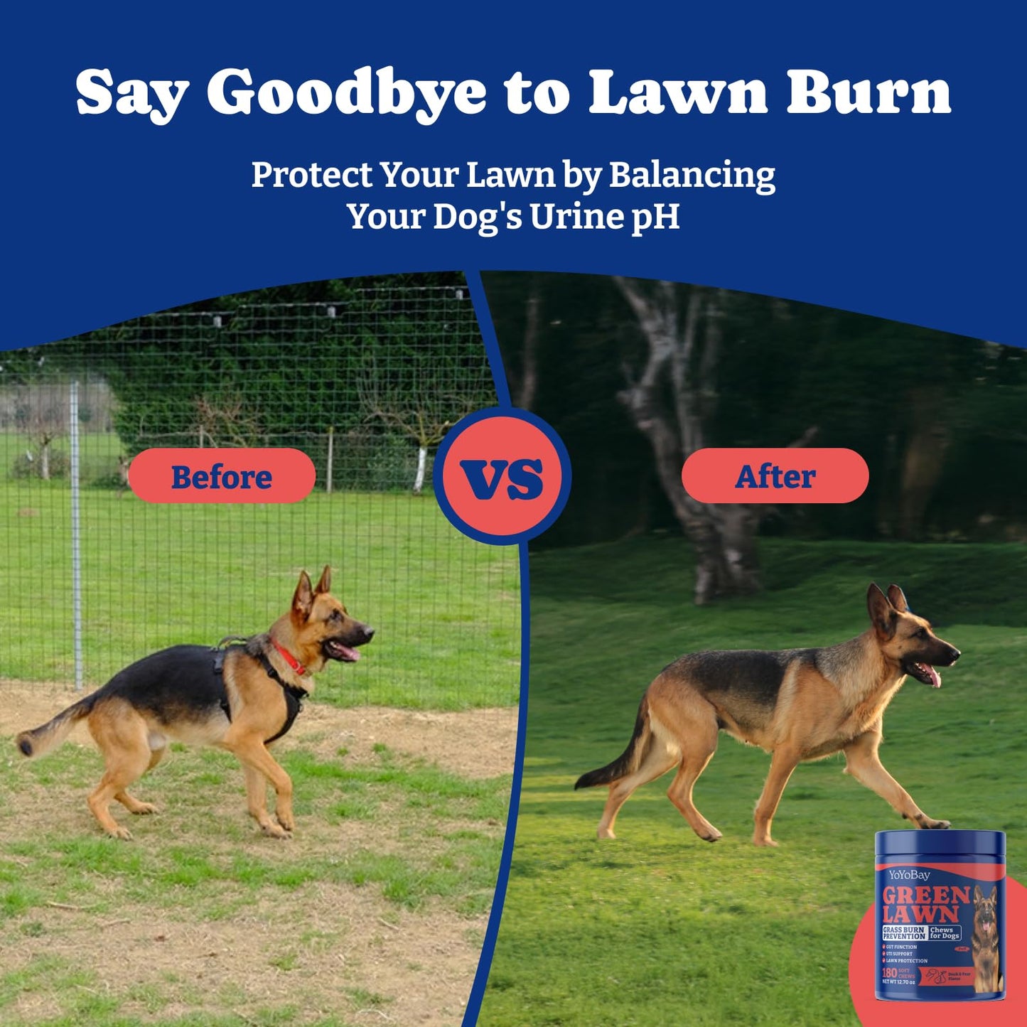 芝生用犬用尿中和剤 - 180粒入り、DL-メチオニン配合、アヒル＆洋ナシ風味