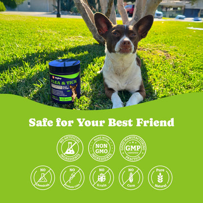 犬用ノミ・ダニ予防チュアブル、3種類のフレーバー、ソフトチュアブル180粒