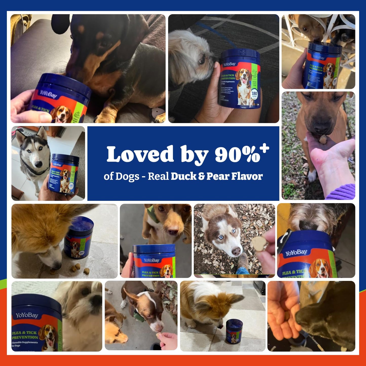 犬用ノミ・ダニ予防チュアブル - ソフトチュアブル70粒、ダック＆洋ナシ風味