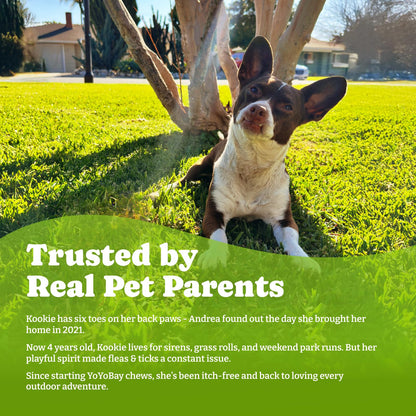 犬用ノミ・ダニ予防チュアブル - ソフトチュアブル70個入り、ビーフ＆キャロット風味