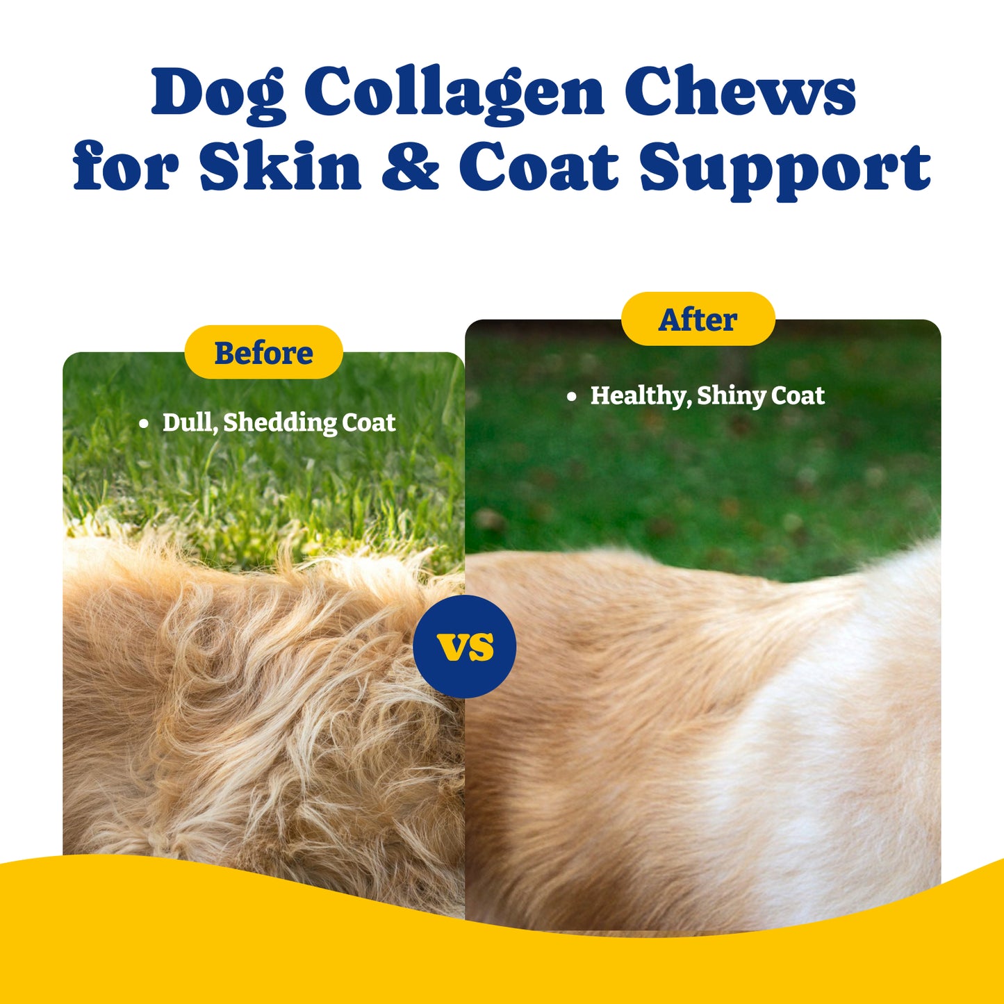 コラーゲンソフトチュー（ヒップ、関節、軟骨、可動性サポート）120粒