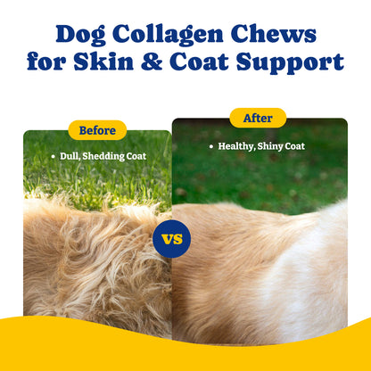 コラーゲンソフトチュー（ヒップ、関節、軟骨、可動性サポート）120粒