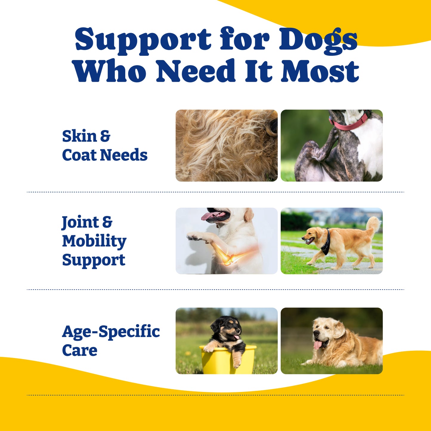 コラーゲンソフトチュー（ヒップ、関節、軟骨、可動性サポート）120粒