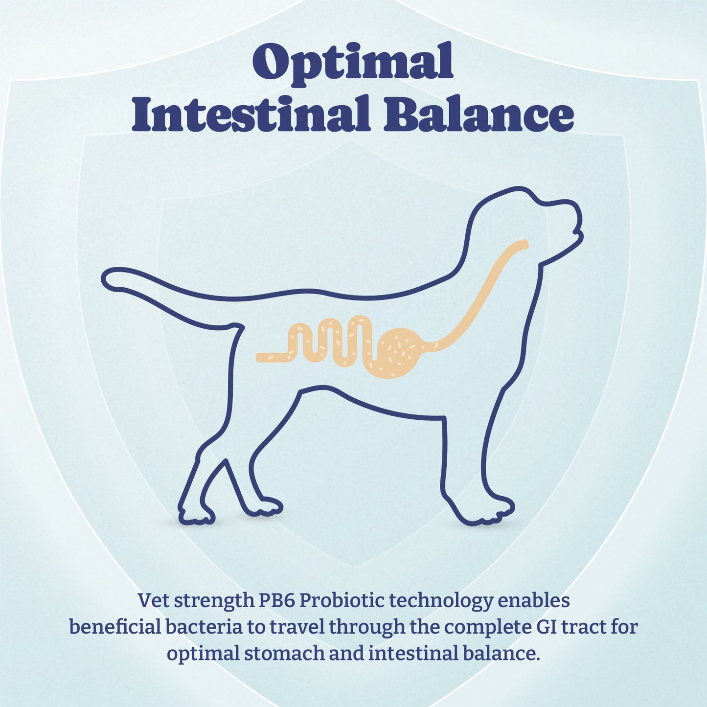 犬用プロバイオティクスと消化酵素