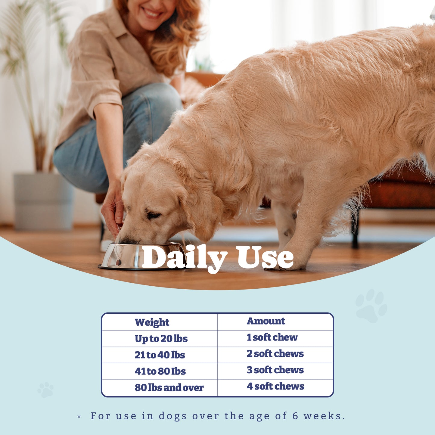 犬用プロバイオティクスと消化酵素