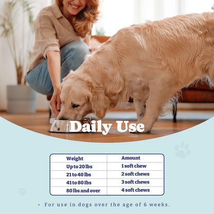 犬用プロバイオティクスと消化酵素