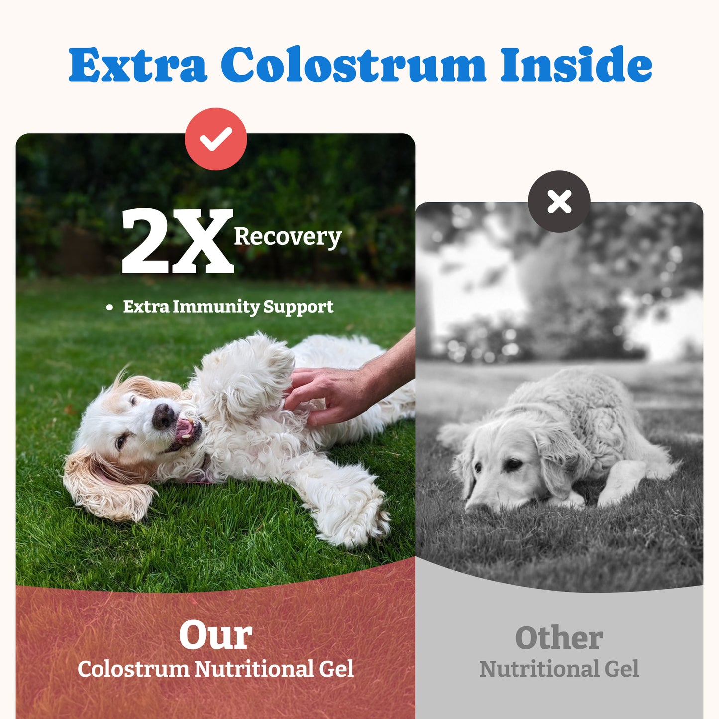 猫と犬のための牛初乳栄養ジェル